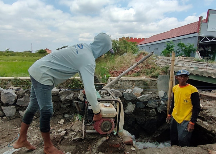 Irigasi Mengering, Petani Bawang Merah di Brebes Gunakan Air Got untuk Aliri Tanamannya