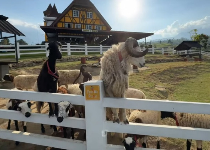 4 Wisata Peternakan Modern Paling Hits di Jawa Tengah, Dijamin Betah