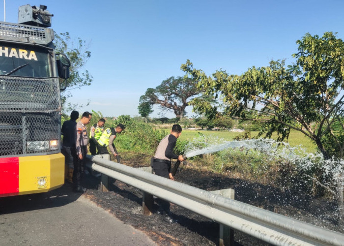 Krisis Kemarau, Kasus Kebakaran Lahan di Jalan Tol Pejagan KM 248 Brebes Jadi Sorotan