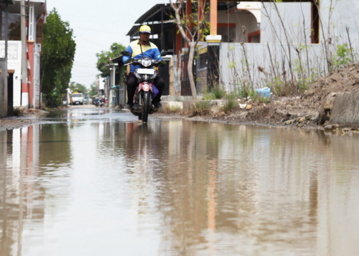 Banjir Rob di Kota Tegal Parah, 15 Titik di 4 Kelurahan Tergenang