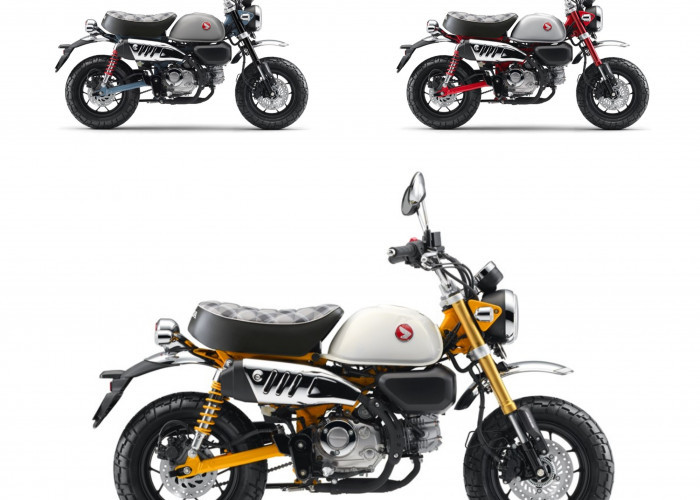 Sentuhan Baru Honda Monkey: Makin Segar, Ikonik, dan Siap Curi Perhatian