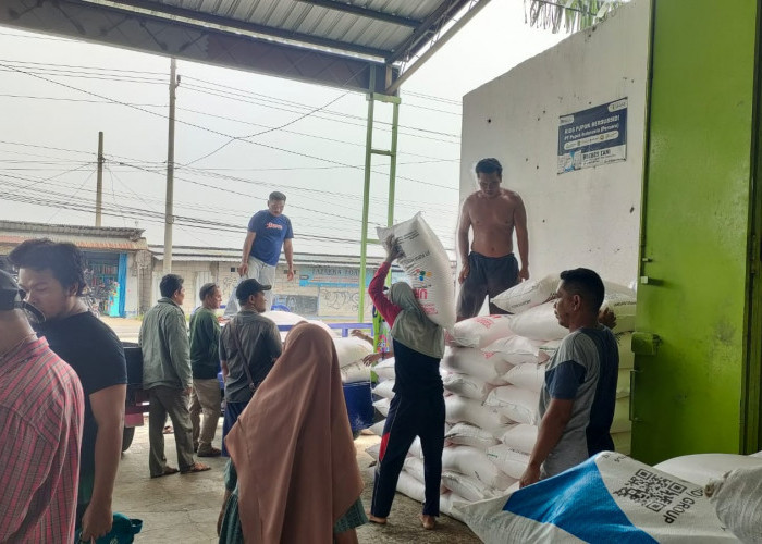 Alokasi Pupuk Bersubsidi di Brebes 2025 Turun, DPKP: Awal Tahun Ini Sudah Bisa Disalurkan