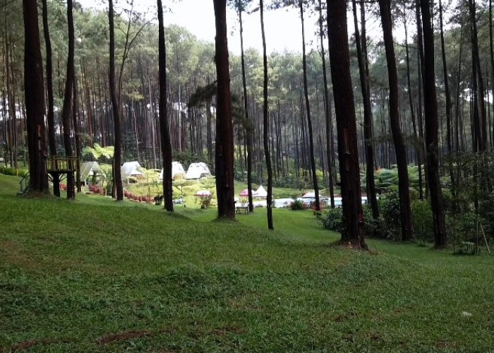 5 Tempat Wisata Tegal Buat Kaum Introvert: Ketenangan di Alam dan Sejarah