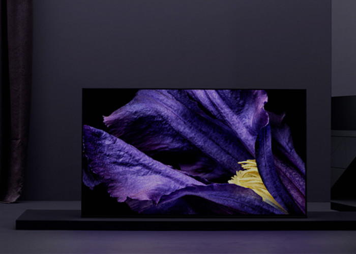 Terbaik Sepanjang Masa! Review Sony A9F Master Series Android TV 55 inch, Dibanderol Seharga Motor Baru