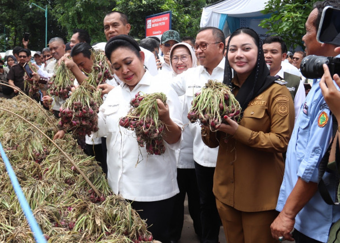 Ke Brebes, Ketua Komisi IV DPR RI dan Rombongan Kunjungi Sentra Produksi Bawang Merah