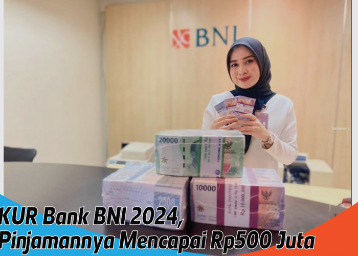 Pinjaman KUR Bank BNI 2024, Peluang Emas Bagi UMKM Dapat Modal Rp500 Juta
