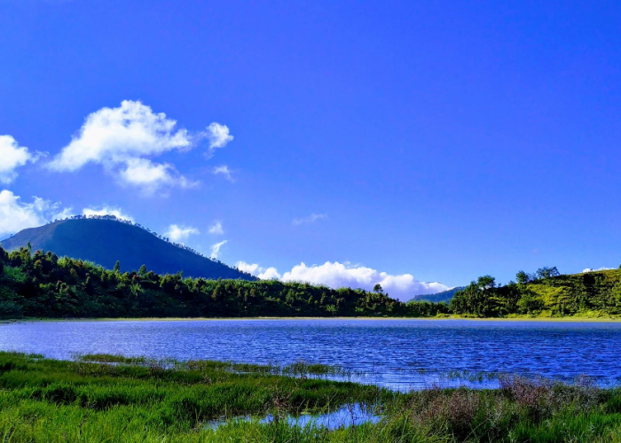 Telaga Dringo Batang, Wisata Alam Tenang di Atas Awan Jawa Tengah