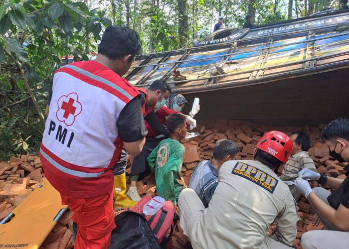 Truk Sarat Muatan Batu Bata Kecelakaan di Jatinegara Kabupaten Tegal, 5 Orang Jadi Korban! 