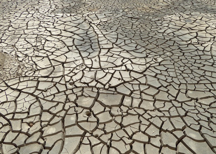 Musim Kemarau, 13 Desa di Kabupaten Pekalongan Rawan Kekeringan dan Krisis Air Bersih