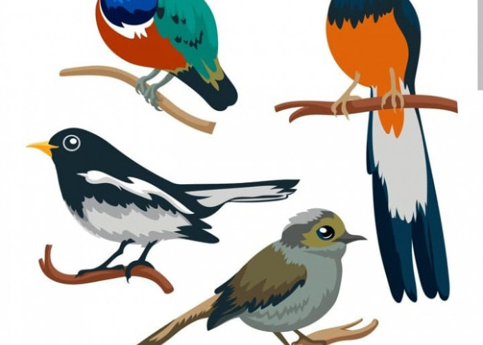 5 Burung yang Tidak Boleh Dipelihara, Jika Nekat Dipercaya Akan Mendatangkan Kesialan 