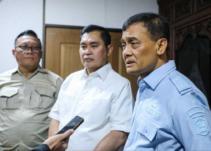 Kolaborasi BOPPJ dan Pemprov Jateng Perkuat Pesisir Pantura Lewat Mangrove