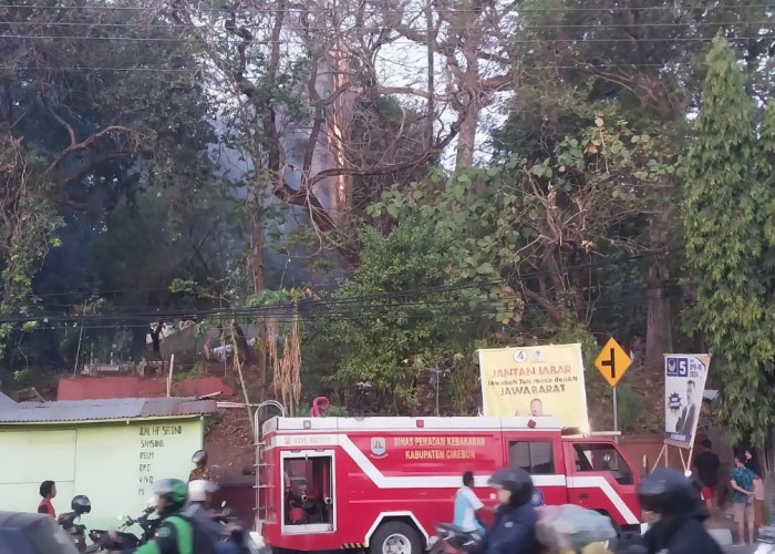 Mendadak Terbakar, Pohon Jati Tua di Tempat Pemakaman Kabupaten Cirebon Bikin Kaget Warga 