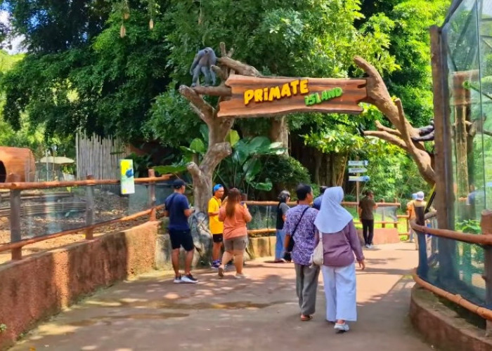 5 Wisata Keluarga di Solo selain Sejarah yang Kekinian dan Berkesan