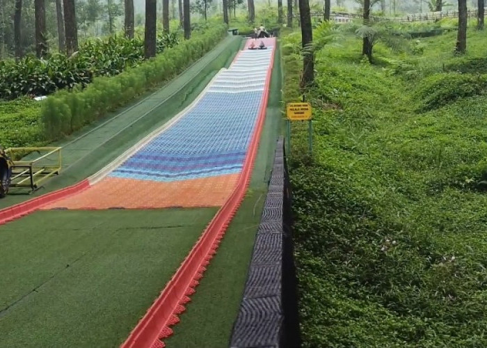 Daftar Wisata Murah di Purwokerto Favorit Para Backpacker