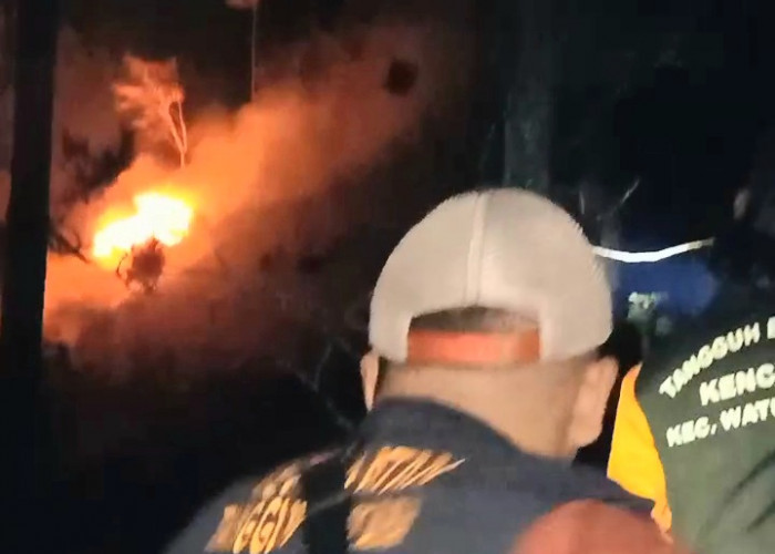 Kebakaran Hutan Bukit Banowati Pemalang, Api Lalap Kawasan Perhutani di Desa Jojogan
