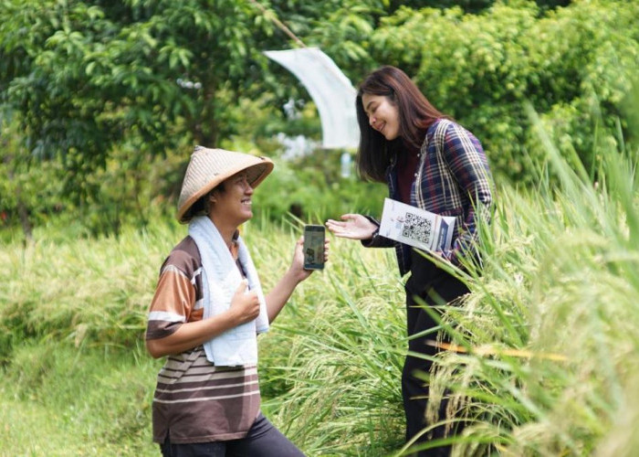 60 Persen KUR BRI 2025 Mengalir ke Sektor Produksi, Pertanian Jadi Kontributor Utama