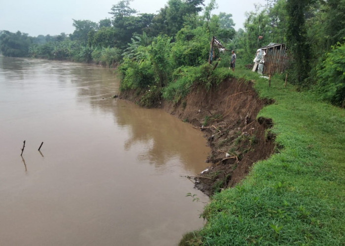 Pasca Banjir di Brebes, Sejumlah Tanggul di Sungai Pemali Kritis