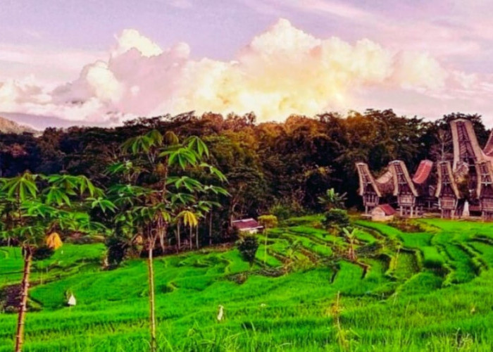 Masih Kental dengan Adat Istiadatnya, Desa Kete Kesu Terkenal dengan Pemakaman Adat Toraja
