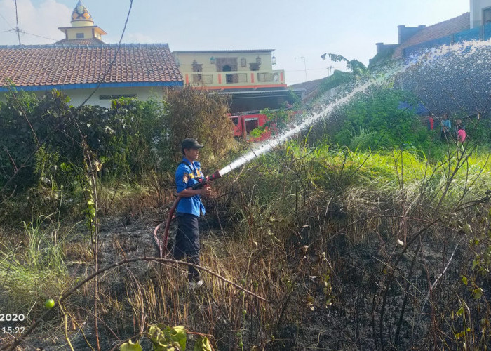 Kebakaran di Kabupaten Tegal Kembali Terjadi, Kali Ini di Lahan Kosong Pesarean Adiwerna