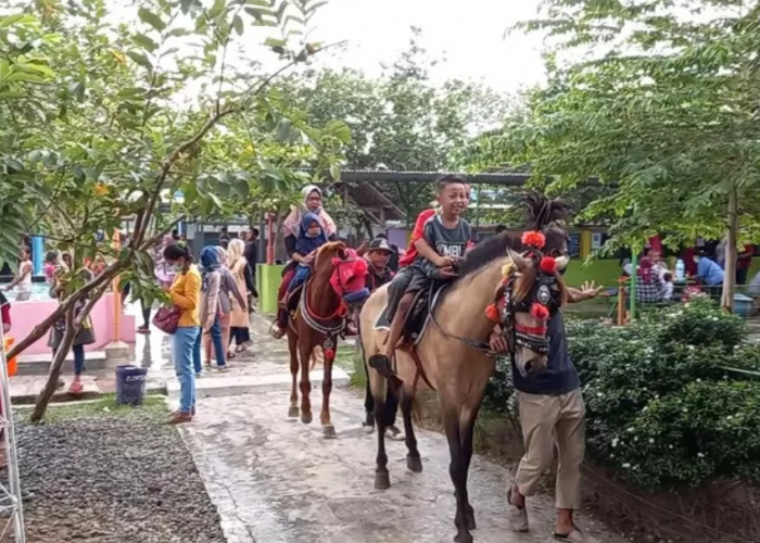 Rekomendasi Tempat Wisata Keluarga di Tegal yang Instagramable Banget!