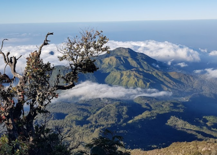 6 Rekomendasi Wisata Gunung di Jawa Tengah, Cocok Buat Libur Nataru 2025