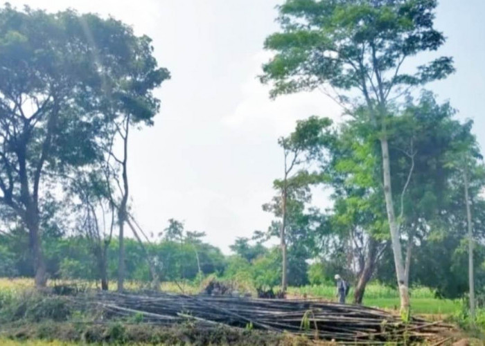 Wacana Restorasi Situs Candi Gong Sidamulya Tegal: Mengungkap Sejarah Peradaban Kuno di Tlatah Tegal