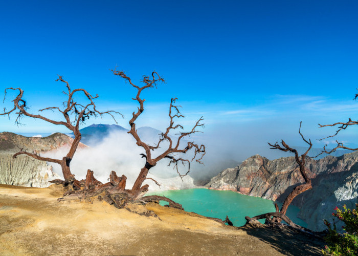 4 Destinasi Seru di Jawa Timur untuk First Timer yang Tak Boleh Terlewat