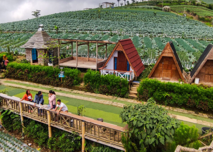 Tempat Nongkrong Malam di Magelang yang Tenang & Asri, View Gunung Sumbing