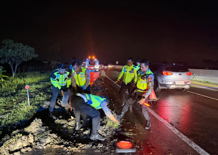 Bus Terperosok di KM 287 Tol Pejagan–Pemalang, Evakuasi Dilakukan di Tengah Hujan
