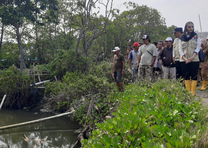 Tangani Rob di Tegal, Pemkot dan DPRD Upayakan Anggaran Rp5 Miliar dalam APBD 2026