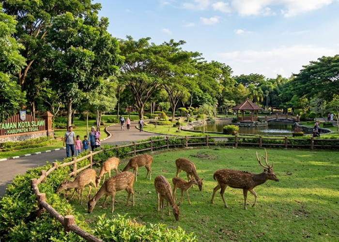 8 Tempat Wisata Gratis di Slawi yang Bisa Dikunjungi saat Akhir Pekan