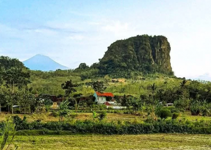 Wisata Pegunungan dan Alam di Pemalang, Ini Spot Seru yang Wajib Dikunjungi!