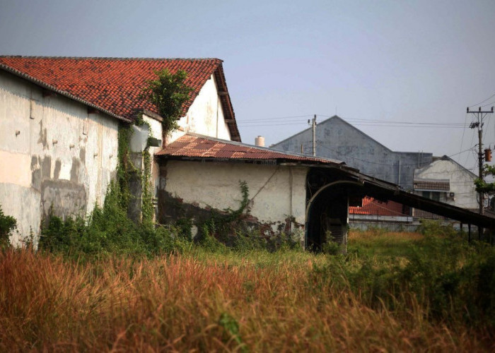 Gedung Rakyat Tegal Terbengkalai: Sejarah Berharga yang Kini Terancam Rusak dan Jadi Sarang Walet