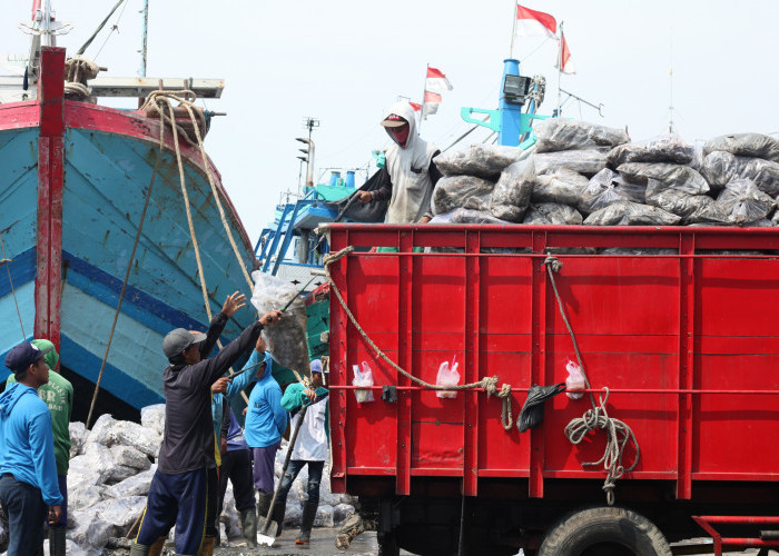 Harga Ikan di Pantura Jawa Anjlok, Beban Nelayan di Kota Tegal Makin Berat 