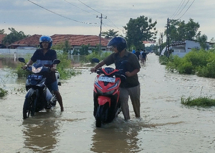 Nekat Terjang Banjir di Brebes, Ratusan Kendaraan Bermotor Mogok saat Lewati Jalan Ini