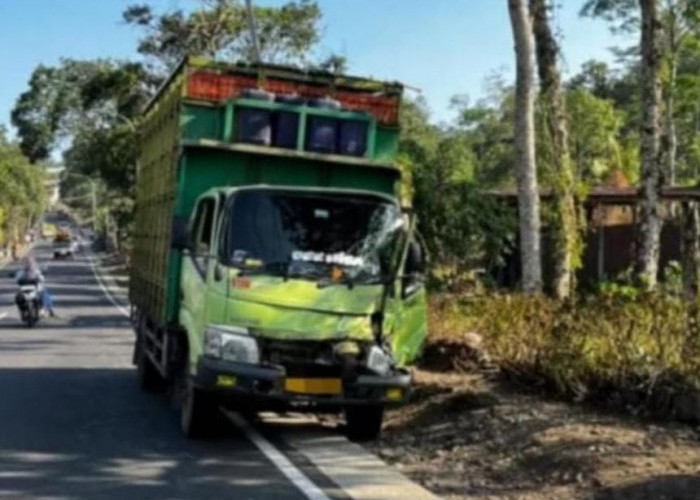 Berhenti Saat Turunkan Penumpang, Pickup Angkut Pelajar di Pemalang Diseruduk Truk Pengangkut Ayam