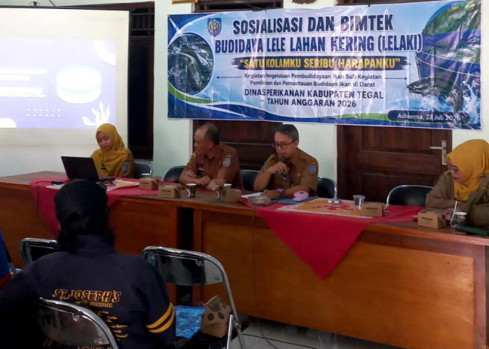 Dorong Ekonomi Warga, Pemkab Tegal Gencarkan Program Budidaya Lelaki di Adiwerna