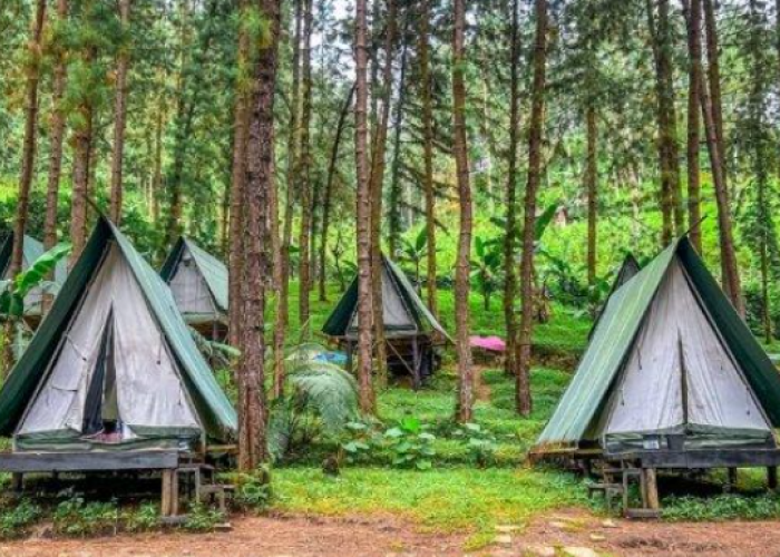 5 Rekomendasi Glamping Terbaik untuk Nikmati Pesona Gunung Slamet
