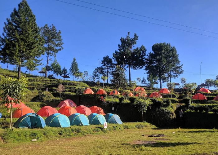 Daftar Wisata Alam Randudongkal Pemalang: Curug, Camping, dan Titik Sinyal HP