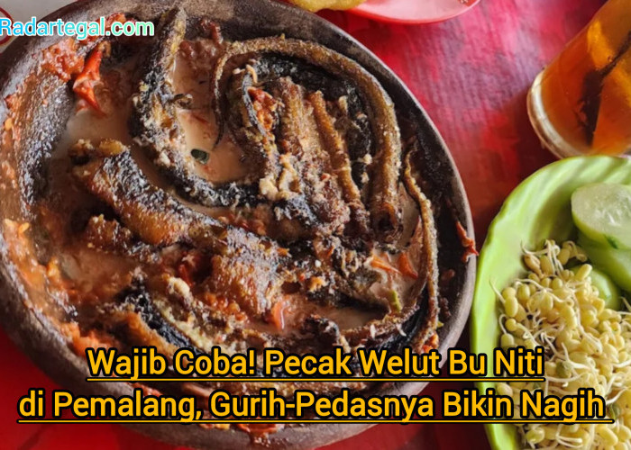 Wajib Coba! Pecak Welut Bu Niti di Pemalang, Gurih-Pedasnya Bikin Nagih 