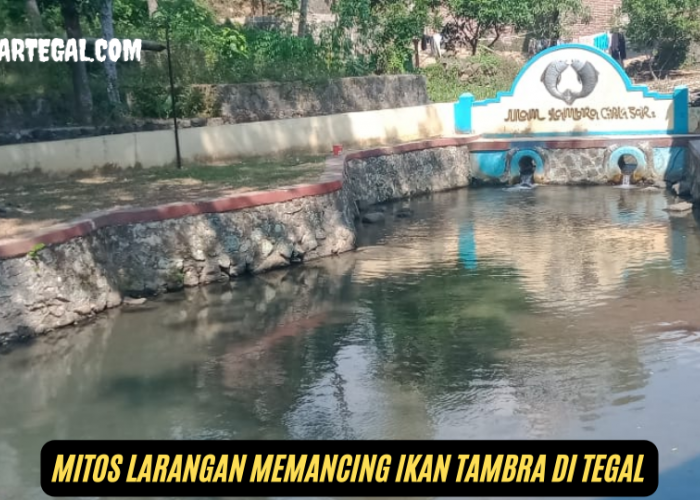 Jarang Diketahui, Mitos Larangan Memancing Ikan Tambra di Tegal