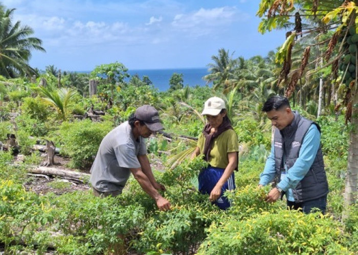 Mantri BRI Hadir di Tengah Bentang Kepulauan Talaud, Gerakkan Denyut Nadi Perekonomian 