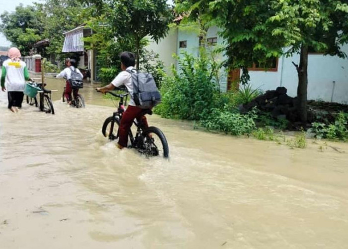 Banjir di Brebes Rendam Ratusan Rumah Warga, Puluhan Orang Mengungsi