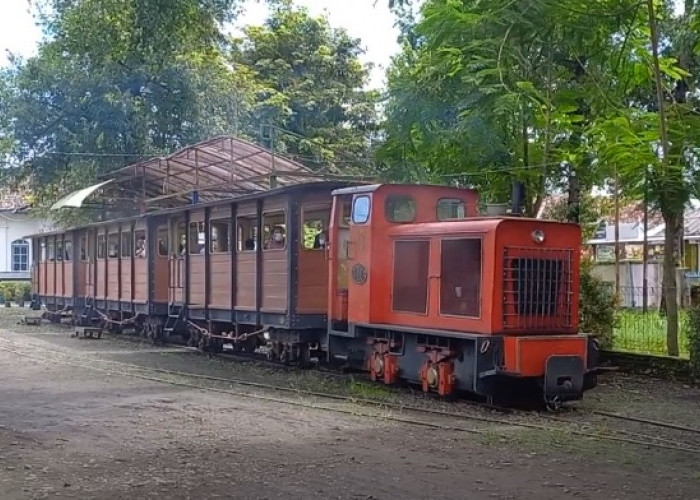 4 Daya Tarik Agrowisata Loco Antik Pangkah Tegal, Padukan Alam Pedesaan dan Sejarah Kereta Api