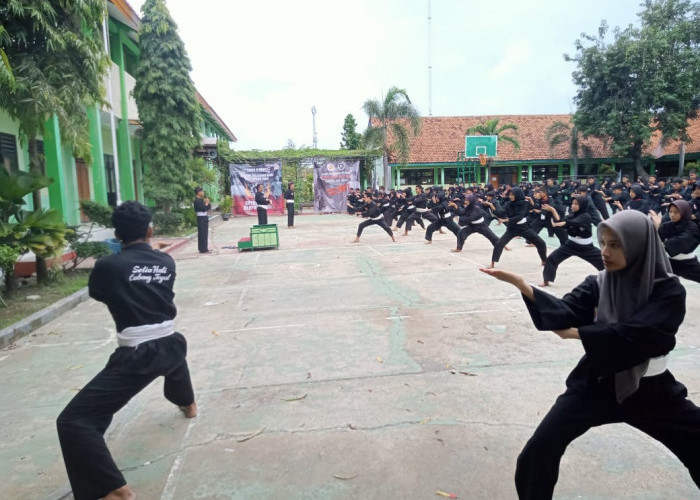 Jaring Atlet Pencak Silat di Kelas Tanding dan Seni, Persaudaraan Setia Hati Kabupaten Tegal Gelar UKT