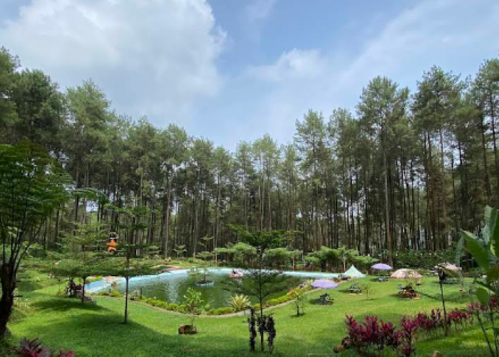 4 Bukit Indah di Tegal dengan Spot Foto Kekinian, Destinasi Hits yang Wajib Dikunjungi 2025