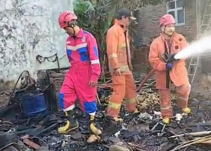 Kebakaran di Batuagung Tegal, Dapur dan Ayam Peliharaan Ludes Terbakar
