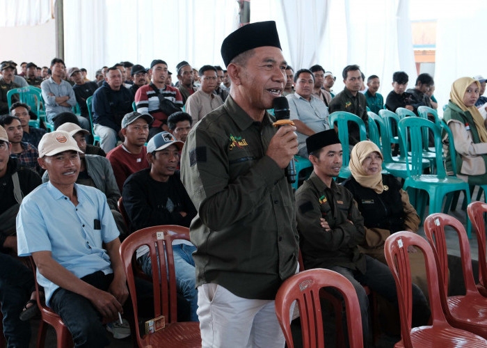 Bibit Kentang Langka, Petani di Pemalang Selatan Resah Jelang Musim Tanam