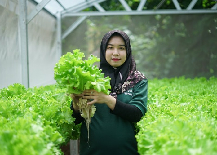 Petani Muda Program Sharp Hydro Heroes Sukses Panen Perdana 