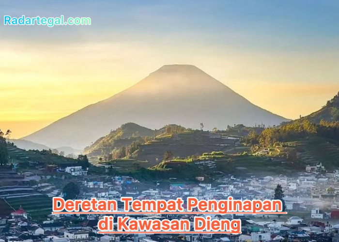 3 Tempat Penginapan di Kawasan Dieng dengan Panorama Indah dan Nyaman untuk Keluarga